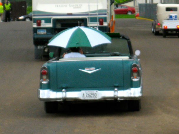 umbrella