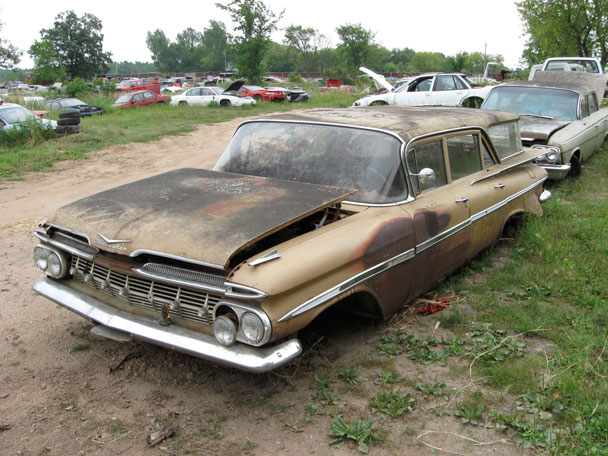 wagon1